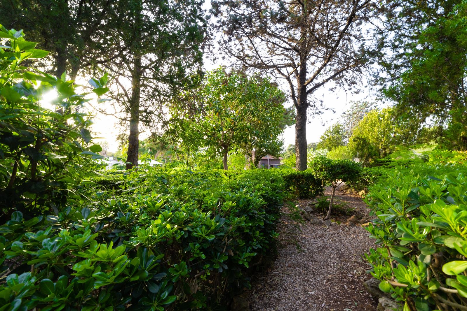 Giardino con vista sulla piscina