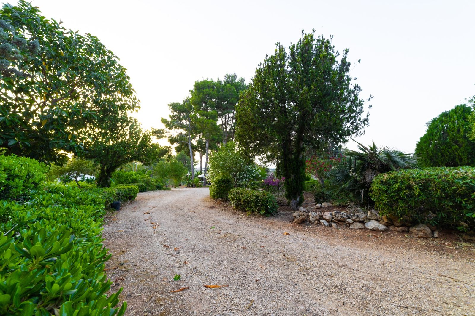 Sentiero nel giardino